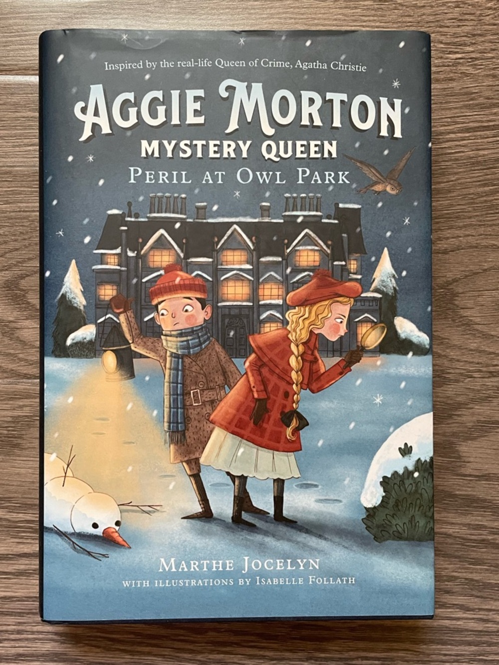 Book: Aggie Morton Mystery Queen: Peril at Owl Park